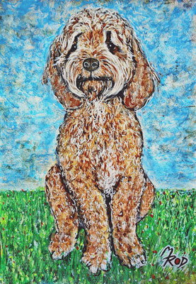 HUND Nr.14 "Timmy"; 50x40 cm; Aquarell/Ghesso mit Passepartout, Plexiglas und Rahmen (Original nicht mehr erhältlich)