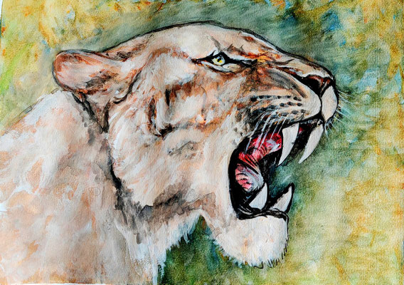 (noch nicht fertiggestellt) LÖWE Nr.3; 51,5x41,5 cm; Aquarell/Gesso mit Passepartout, Plexiglas und Rahmen