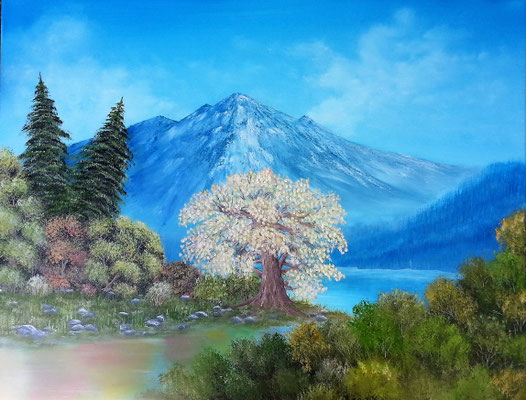 TARN I; 58x76 cm; Öl auf Leinen (Original nicht mehr erhältlich)