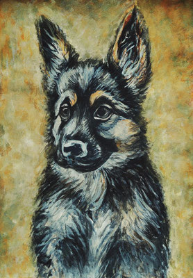 (noch nicht fertiggestellt) - HUND Nr.9; 51,5x41,5cm; Aquarell/Gesso mit Passepartout, Plexiglas und Rahmen; Preis € 200,-