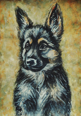 (noch in Arbeit) HUND Nr.9; 51,5x41,5cm; Aquarell/Gesso mit Passepartout, Plexiglas und Rahmen