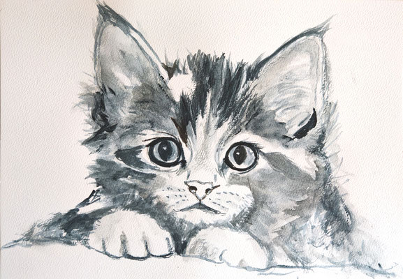 NEU (noch nicht fertiggestellt) - KATZE Nr. ; 21x30 cm; Aquarell inkl. Rahmen und Plexiglas; Preis € 150,-