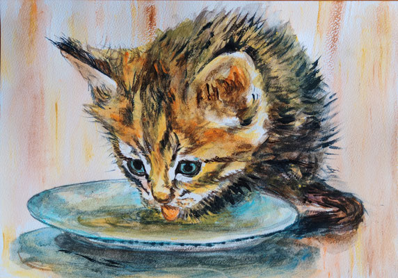 NEU (noch nicht fertiggestellt) - KATZE Nr. ; 21x30 cm; Aquarell inkl. Rahmen und Plexiglas; Preis € 150,-