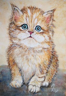 KATZE Nr.15; 52x42 cm; Aquarell mit Passepartout, Glasscheibe und Rahmen (Original nicht mehr erhältlich)