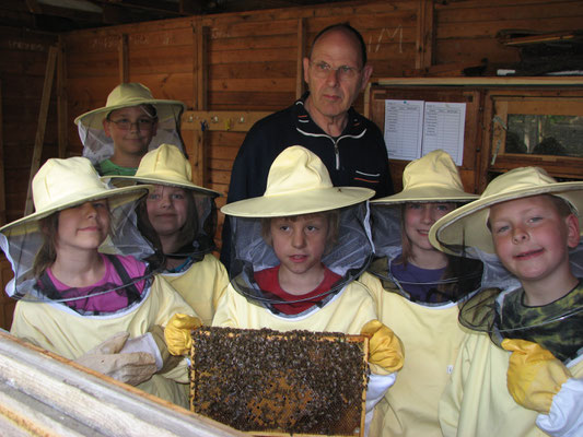 Sie tun nichts, es sind ja nur Bienen!