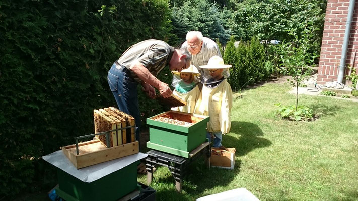 Kinder sind immer an Bienen interessiert.