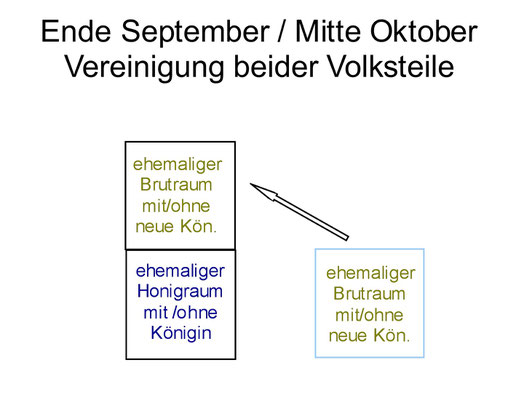 Schritt 2 etwa Mitte Oktober: Zusammenführung der beiden Volksteile