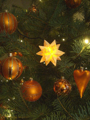Bascetta Stern am Weihnachtsbaum