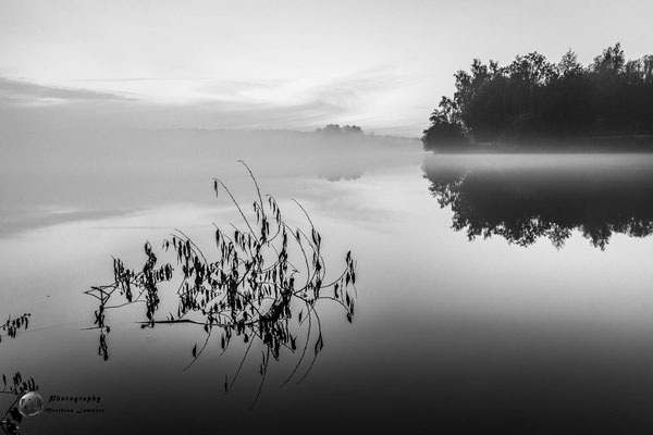 Nebel am Haselünner See