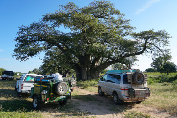 Pause beim Giant Baobab