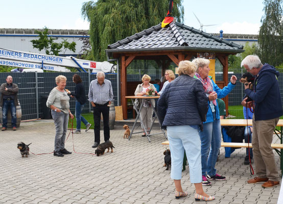 Zahlreich kamen die Besucher zur Zuchtschau auf dem Gelände der Fa. Meiners Bedachungen in Greven