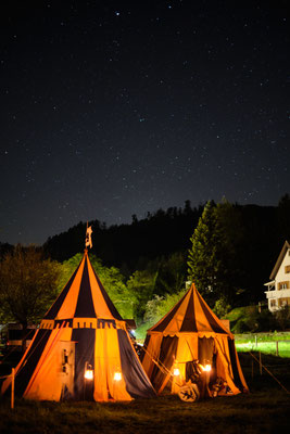 Gefährten des Feuers