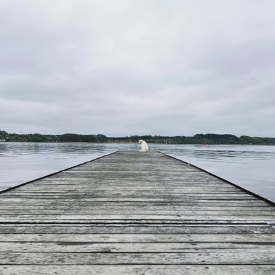 Hadsund Lystbådehavn.