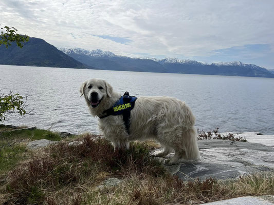 Hardangerfjord