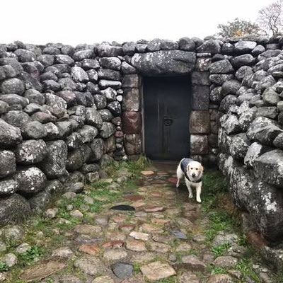 Kungagraven I Kivik, Sweden