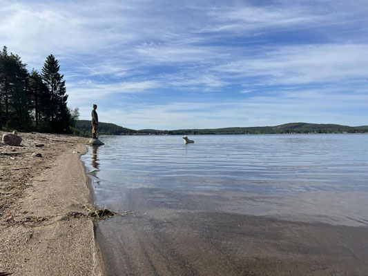 Bergsviken.