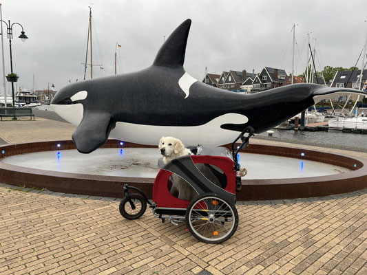 Urk Haven