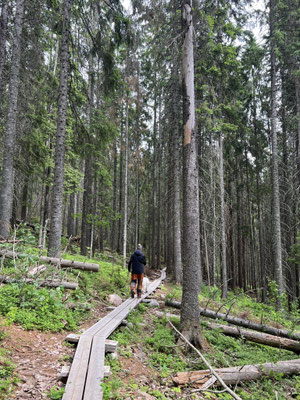 Skuleskogens Nationalpark