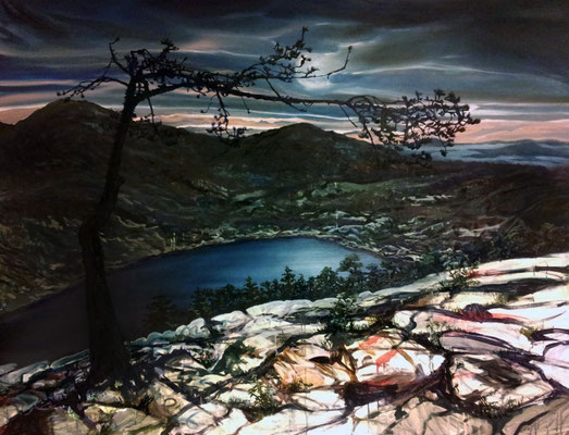 404 days of rain-11, 170x130cm, mixed media on canvas 2014