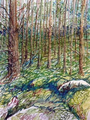 VA_6, watercolour on paper, 23x30,5 cm, 2020