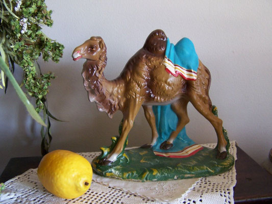 cammello