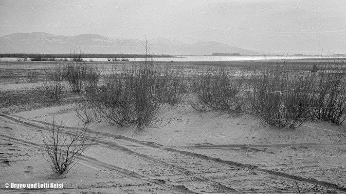 Sanddelta | 1968