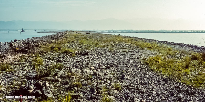 Rheindamm, Rheinmündung | 1988