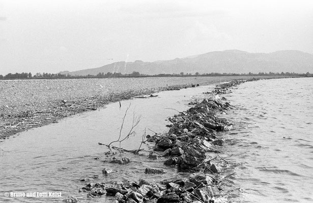 Binnenbecken, Hard | 1966