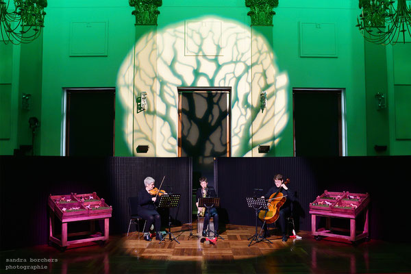 Sitzkissenkonzert, Theater Aachen