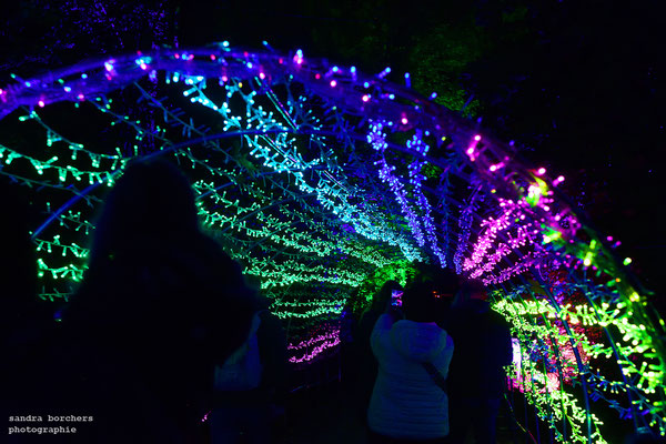 Herbstlichter 2025