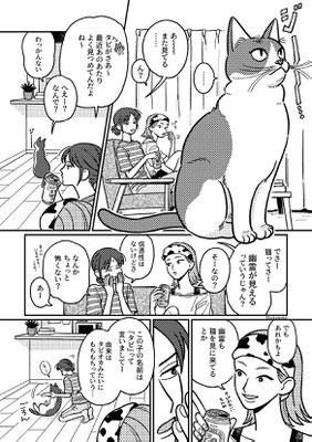 猫は幽霊が見える①