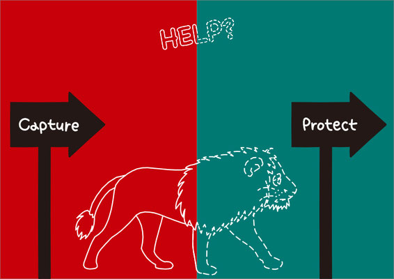 テーマ：動物の絶滅　『HELP?』
