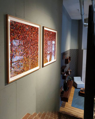 YBYTU n°2 and n°3 | 100/100 cm | private collection, Ottendorf, DE