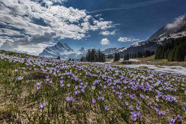 Kanton Glarus,Gärnisch,Glarnerland,Glarus,Braunwald,Ortstock,Landschaftsfoto Glarnerland,