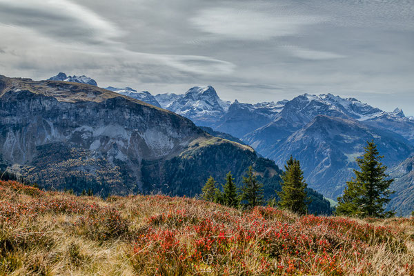 Kanton Glarus,Gärnisch,Glarnerland,Glarus,Landschaftsfoto Glarnerland,