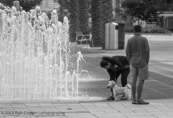 Couple giving their dog a drink of water, Tampa, FL