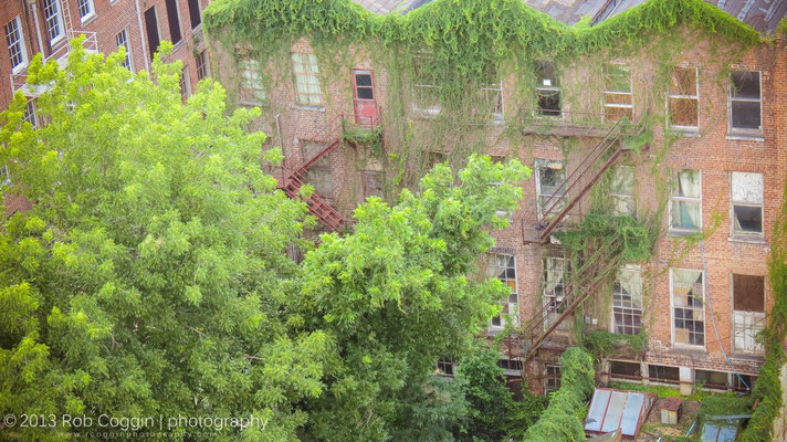 Overgrowth in downtown New Orleans, LA