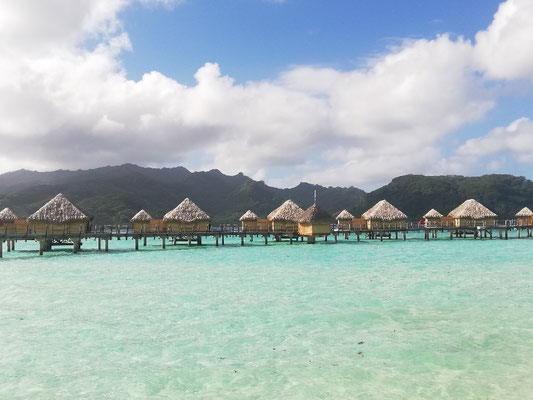 Le resort 5 étoiles