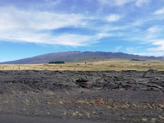 Mauna Kea