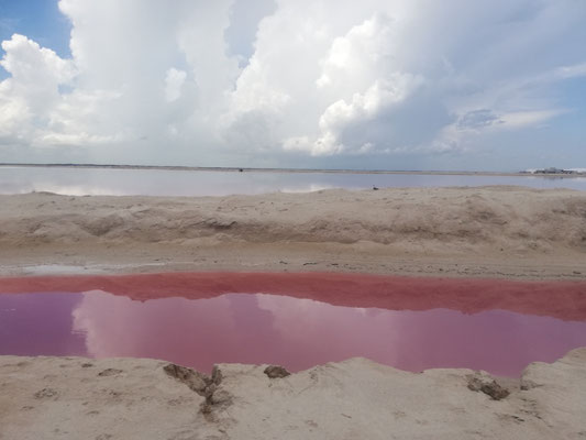 Lac rose