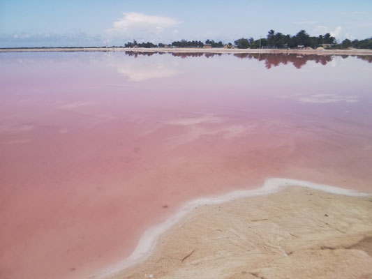 Lac rose