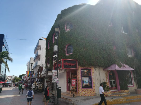Calle 5