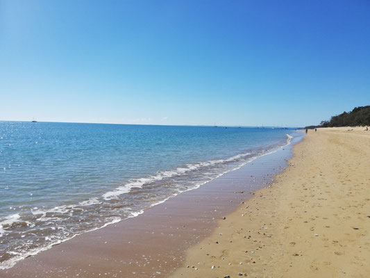 Hervey bay