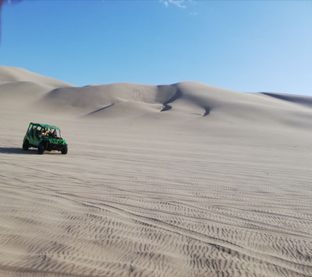 Buggy dans les dunes