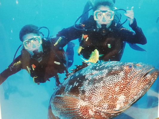Photo avec un mérou géant