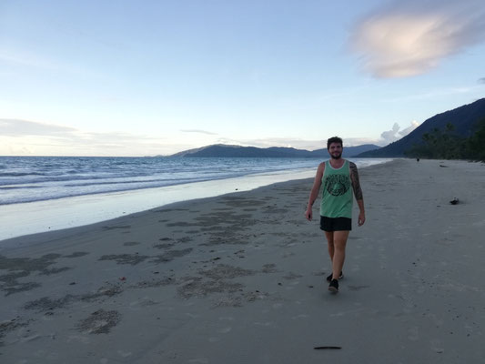 La frontière Est de la forêt de Daintree s'arrête à l'océan