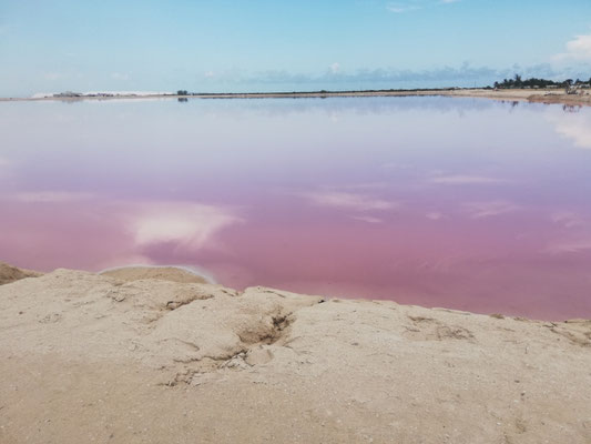 Lac rose