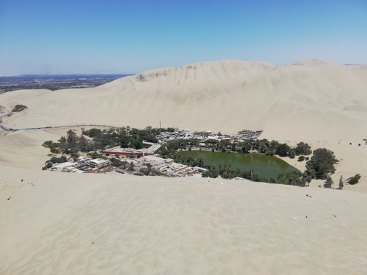 Oasis de Huacachina