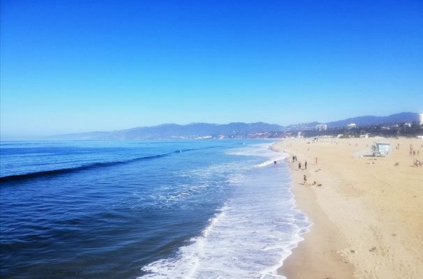 Venice Beach