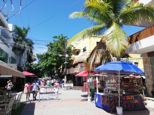 Calle 5